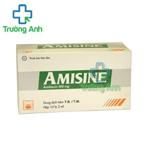 Amisine 500mg Pymepharco - Thuốc điều trị nhiễm khuẩn, nhiễm trùng nặng