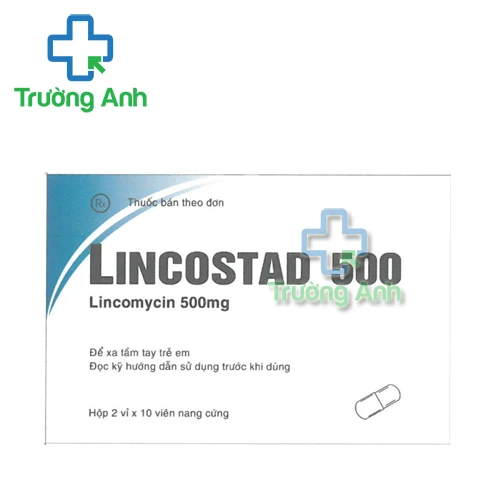 Lincostad 500 Pymepharco - Thuốc kháng sinh điều trị nhiễm khuẩn