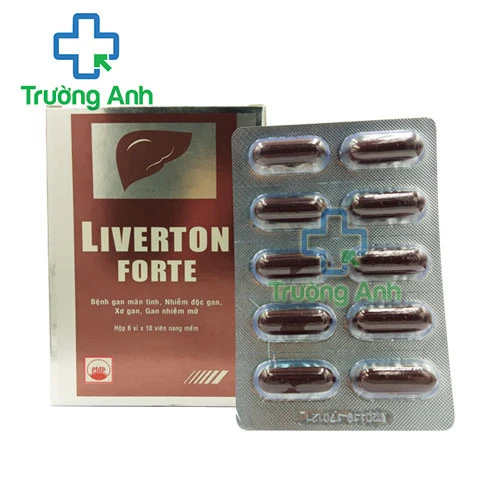 Liverton forte Pymepharco - Thuốc hỗ trợ điều trị suy chức năng gan