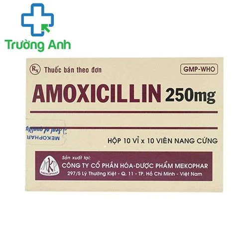 Amoxicillin 250mg MKP - Điều trị các bệnh nhiễm khuẩn hiệu quả
