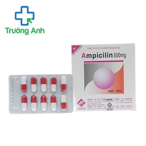 Ampicilin 500mg Vidipha - Điều trị nhiễm khuẩn bệnh lý hiệu quả