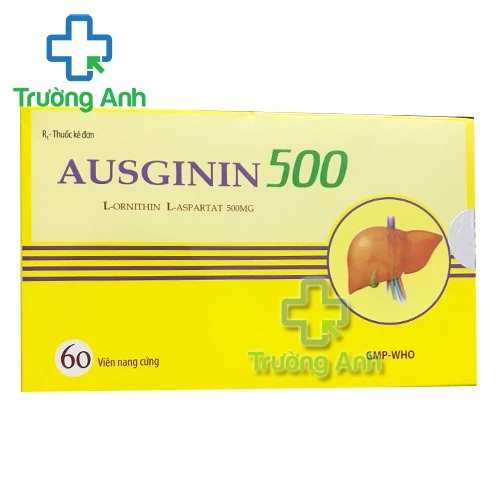 Ausginin 500 - Thuốc điều trị viêm gan mãn tính hiệu quả