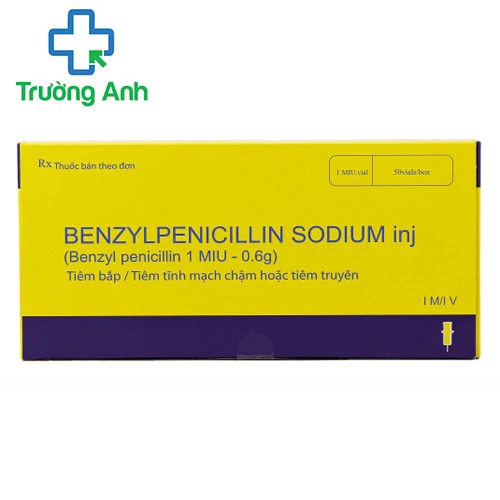 BENZYLPENICILLIN SODIUM - Thuốc điều trị nhiễm khuẩn hiệu quả của Trung Quốc