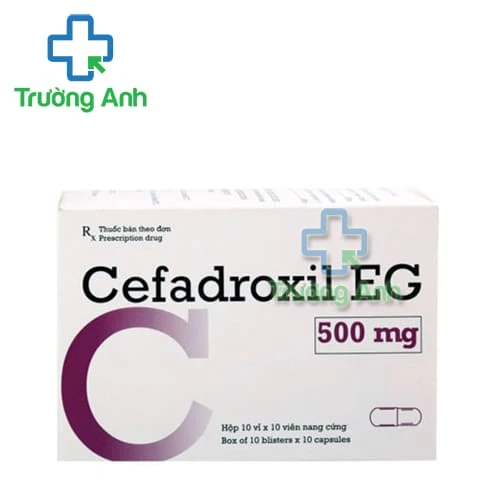 Cefadroxil EG 500mg Pymepharco - Điều trị nhiễm khuẩn