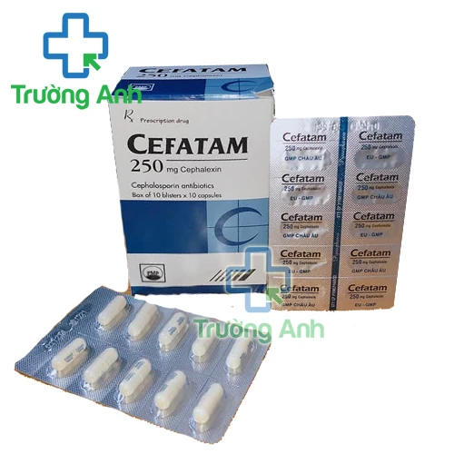 CEFATAM 250 - Thuốc điều trị nhiễm khuẩn hiệu quả