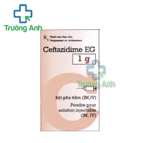 Ceftazidime EG 1g Pymepharco - Thuốc điều trị nhiễm trùng