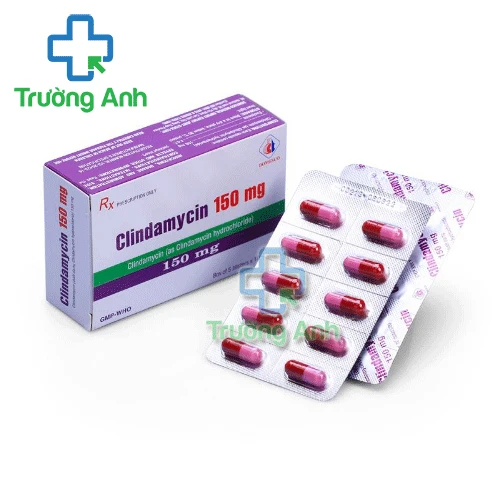 Clindamycin 150mg Domesco - Thuốc điều trị nhiễm khuẩn
