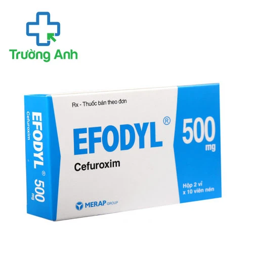 Efodyl 500mg Merap - Thuốc điều trị nhiễm khuẩn hiệu quả