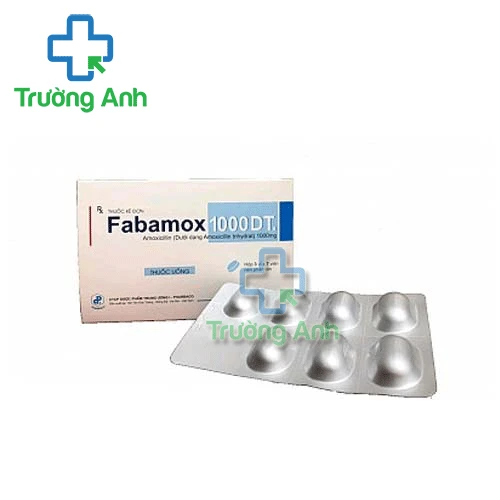 Fabamox 1000 DT Pharbaco - Thuốc điều trị nhiễm khuẩn