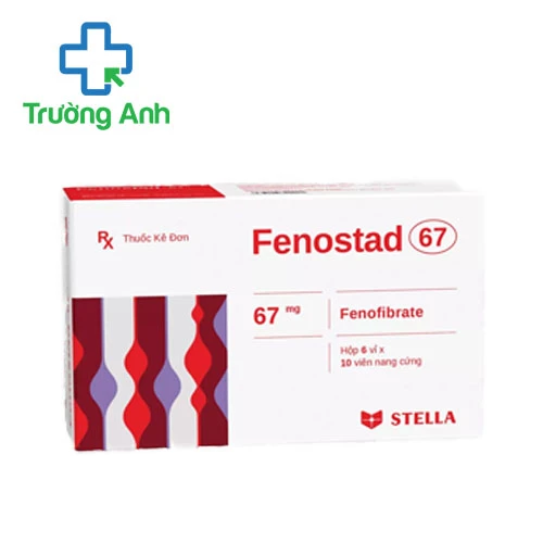 Fenostad 67 Stella - Điều trị rối loạn Lipid huyết hiệu quả
