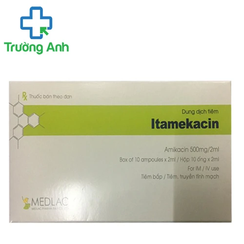 Itamekacin 1000 - Thuốc điều trị nhiễm khuẩn hiệu quả
