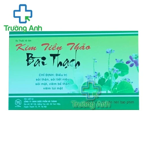 Những bí ẩn về kim tiền thảo bài thạch mà bạn chưa từng nghe đến