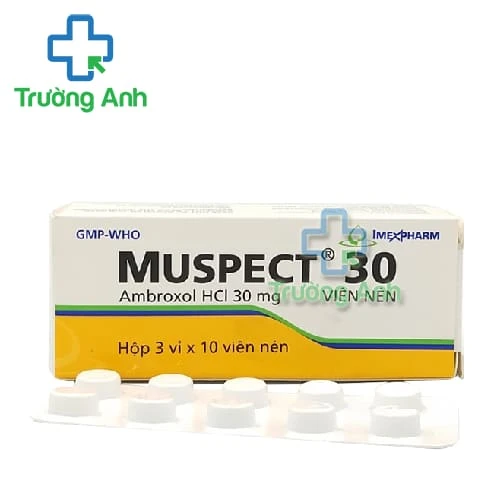 Muspect 30 Imexpharm - Thuốc giúp tiêu nhầy đường hô hấp