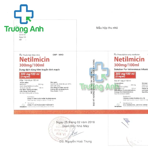 Netilmicin 300mg/100ml Amvipharm - Thuốc điều trị nhiễm khuẩn
