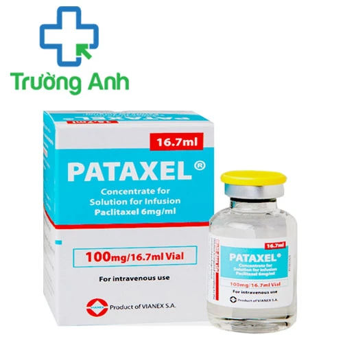 Pataxel 100mg/16,7ml - Thuốc điều trị ung thư buồng trứng hiệu quả