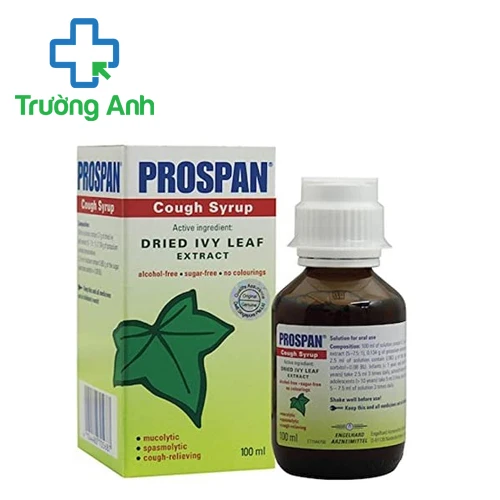 Prospan Cough Syrup - Hỗ trợ điều trị ho, viêm đường hô hấp