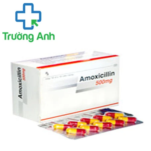 SM.Amoxicillin 500 - Thuốc chống nhiễm khuẩn hiệu quả