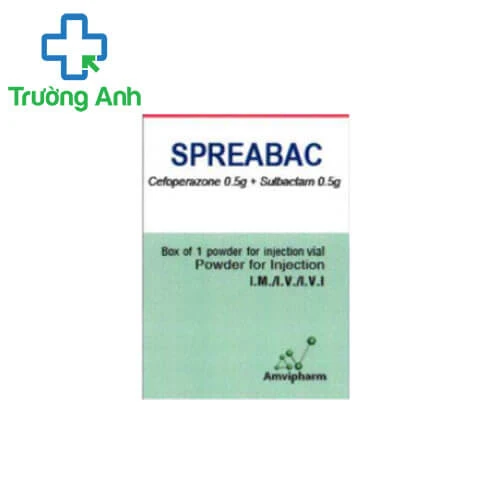 Spreabac Amvipharm - Thuốc điều trị nhiễm khuẩn hiệu quả
