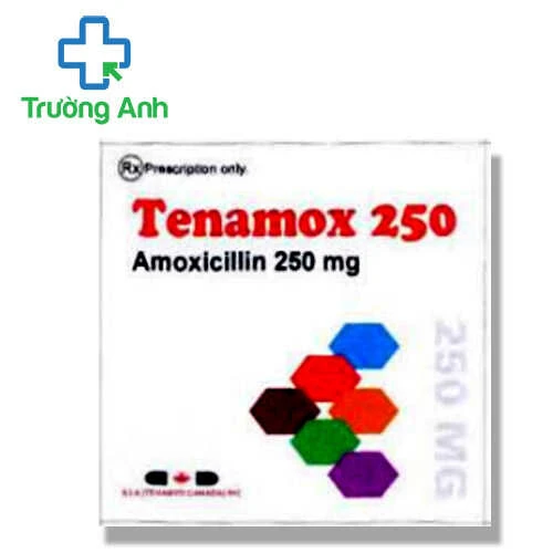 Tenamox 250 - Thuốc điều trị nhiễm khuẩn của India