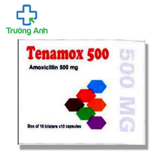 Tenamox 500 - Thuốc điều trị nhiễm khuẩn hiệu quả của India