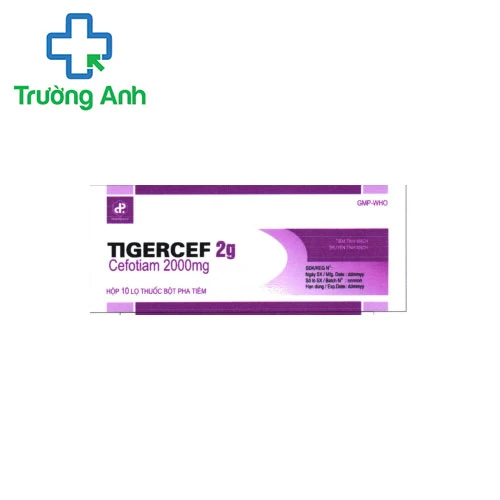 TIGERCEF 2G - Thuốc điều trị nhiễm trùng hiệu quả