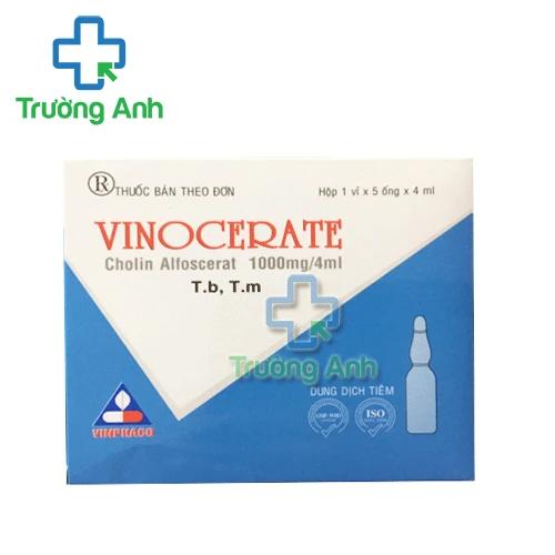 Vinocerate 1000mg/4ml Vinphaco - Điều trị chứng sa sút trí tuệ 