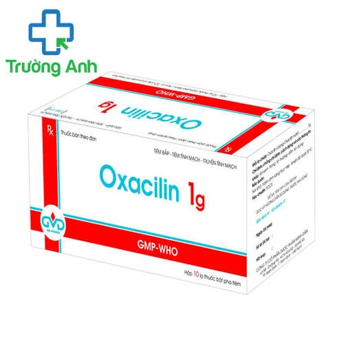 Oxacilin 1g - Thuốc điều trị nhiễm khuẩn hiệu quả