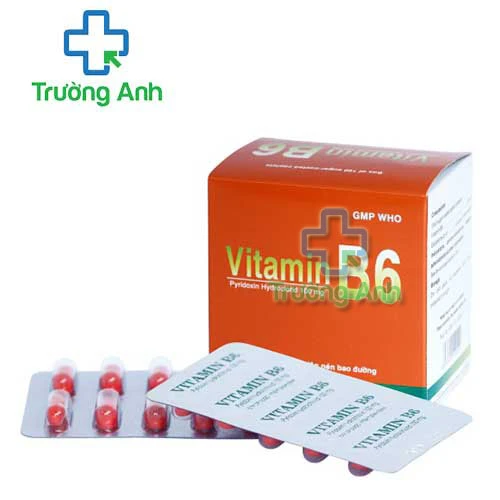 Vitamin B6 100mg Bidiphar - Thuốc điều trị thiếu máu