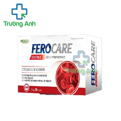 Ferocare Phú Sơn Nam - Hỗ trợ bổ sung sắt và acid folic cho cơ thể hiệu quả