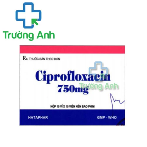 Ciprofloxacin 750mg Hataphar - Thuốc kháng sinh điều trị nhiễm khuẩn