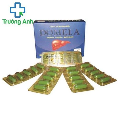 Domela - Hỗ trợ tăng cường chức năng gan hiệu quả