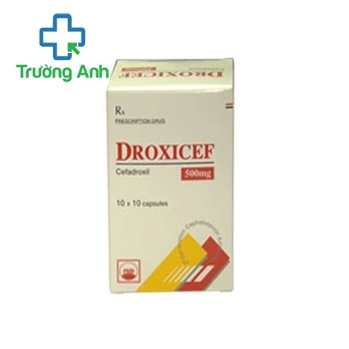 Droxicef 500mg -Thuốc điều trị nhiễm khuẩn hiệu quả