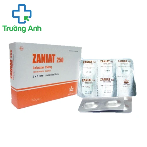 Zaniat 250 Vidipha - Thuốc hỗ trợ điều trị nhiễm khuẩn