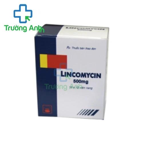 Lincomycin 500mg Pymepharco - Thuốc kháng sinh trị nhiễm khuẩn nặng