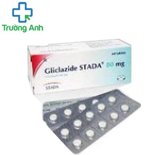 Gliclazid 80mg STD - Thuốc kháng sinh điều trị bệnh tiểu đường