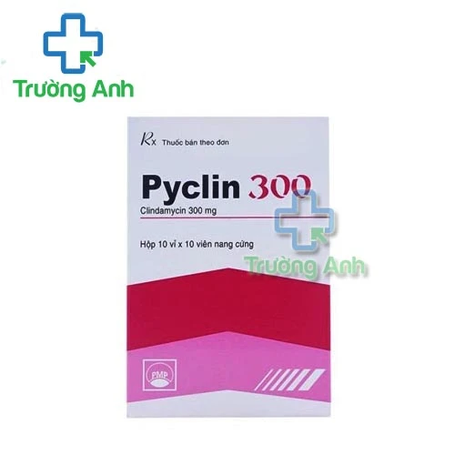 Pyclin 300 Pymepharco (viên) - Thuốc điều trị nhiễm khuẩn