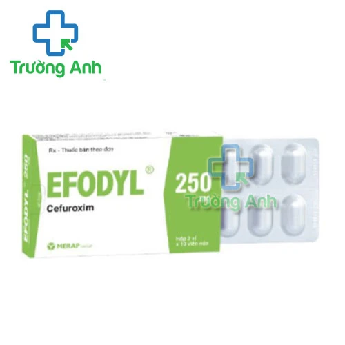 Efodyl 250mg Merap (viên) - Thuốc điều trị nhiễm khuẩn hiệu quả