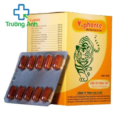 V.phonte - Thuốc giảm đau và chống viêm xương khớp hiệu quả