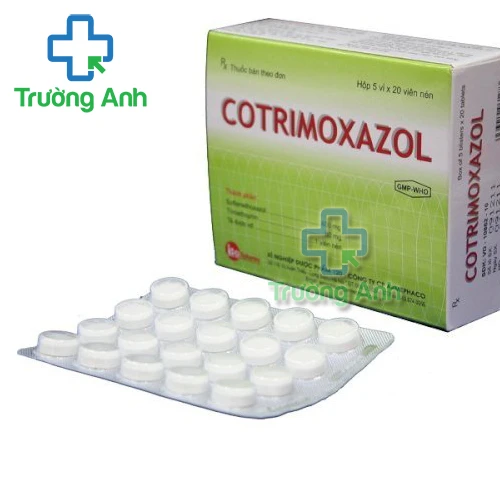 Cotrimoxazol Armephaco - Thuốc hỗ trợ điều trị nhiễm khuẩn hiệu quả