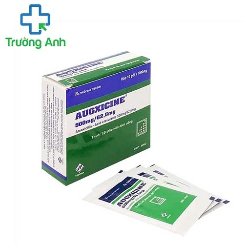 AUGXICINE 500mg/ 62,5mg - Thuốc điều trị nhiễm khuẩn của Vidipha