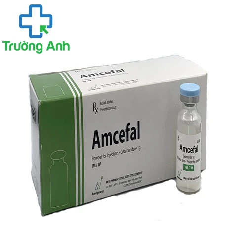 Amcefal 2g - Thuốc điều trị nhiễm khuẩn đường hô hấp