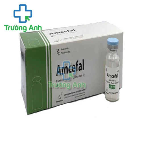 Amcefal 1g Amvipharm - Điều trị bệnh nhiễm khuẩn hiệu quả