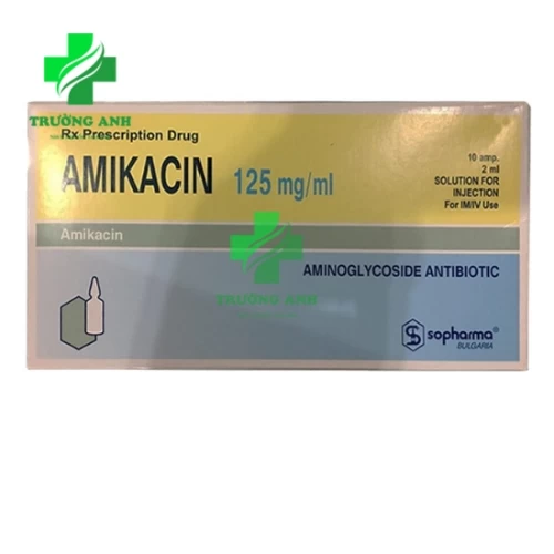 Amikacin 125mg/ml - Thuốc điều trị nhiễm khuẩn đường hô hấp