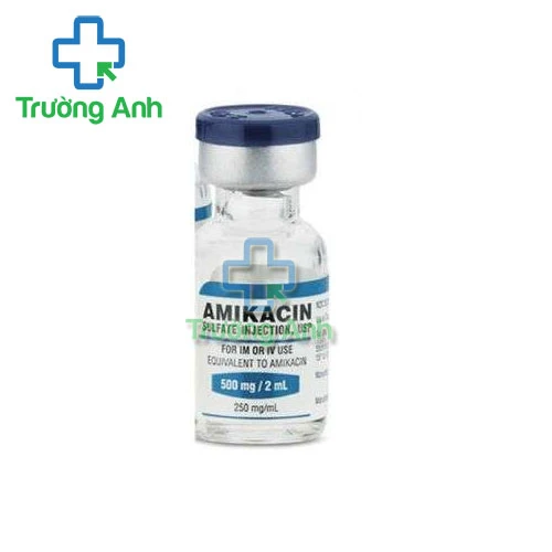 Amikacin 500mg/2ml Pharbaco - Điều trị bệnh nhiễm trùng hiệu quả