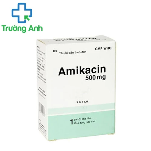 Amikacin 500mg Bidiphar - Thuốc điều trị nhiễm khuẩn đường hô hấp