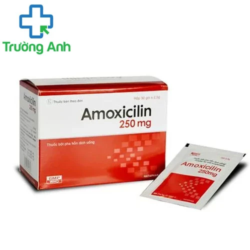 Amoxicilin 250 mg Pharbaco - Thuốc điều trị đường hô hấp