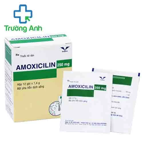 Amoxicilin 250mg Bidiphar (bột) - Điều trị nhiễm khuẩn đường hô hấp