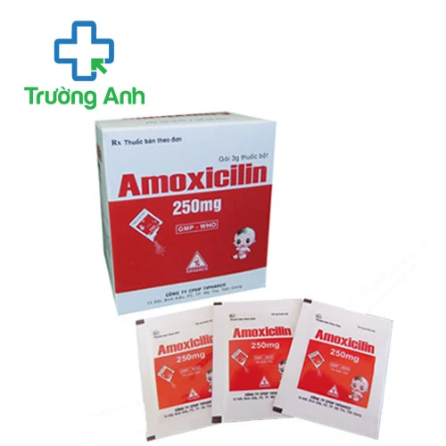 Amoxicilin 250mg Tipharco (bột) - Thuốc điều trị nhiễm khuẩn