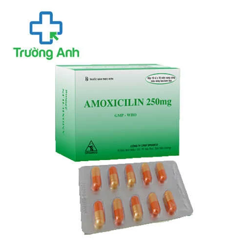 Amoxicilin 250mg Tipharco (viên) - Thuốc điều trị nhiễm khuẩn