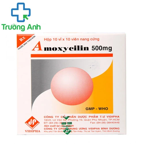 Amoxycilin 500mg Vidipha - Thuốc điều trị nhiễm khuẩn của  Vidipha
